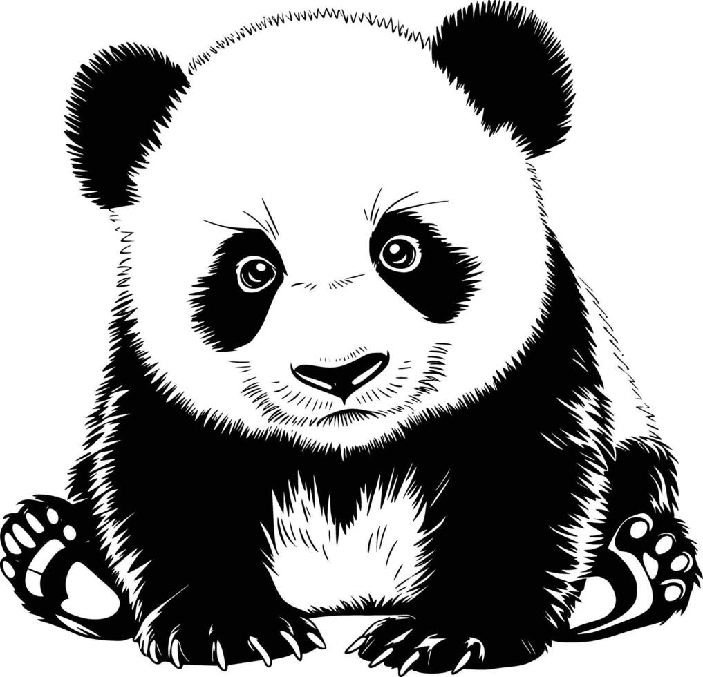 Panda bear coloring pages vector