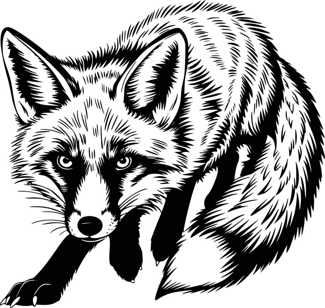 A black and white drawing of a fox vector