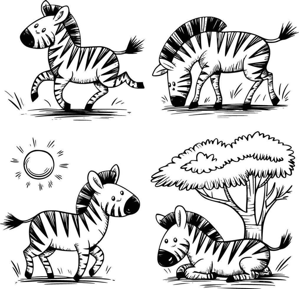 Four different zebras in different poses vector
