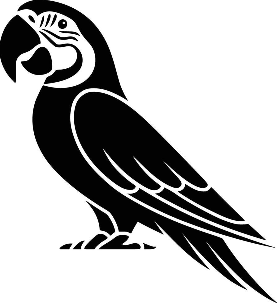 A black and white parrot with a large beak vector