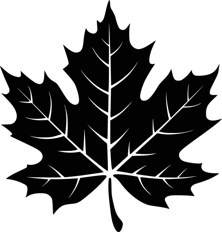 Maple leaf clip art white isolated background vector