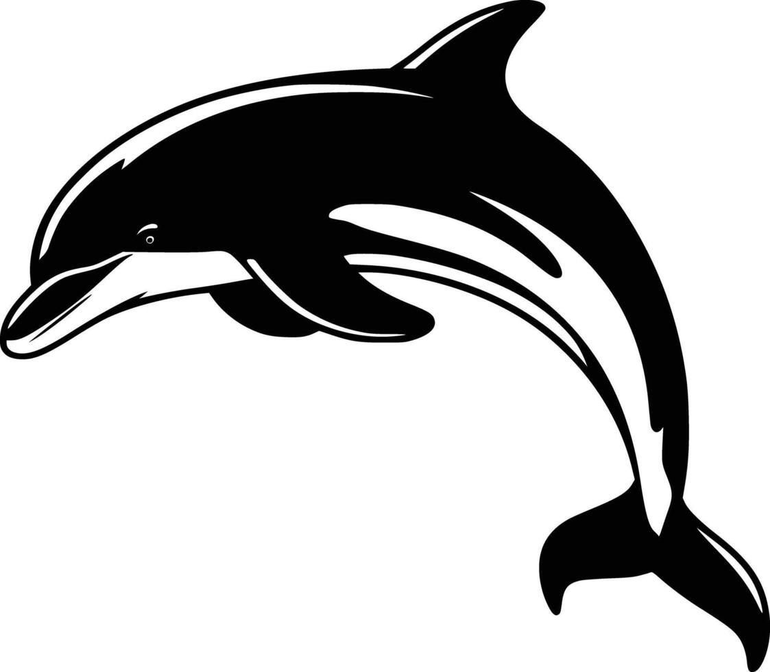 Dolphin jumping clip art white isolated background vector