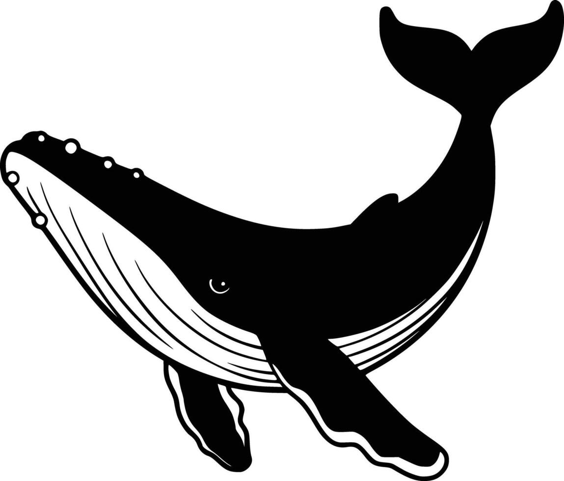 Humpback whale clip art white isolated background vector