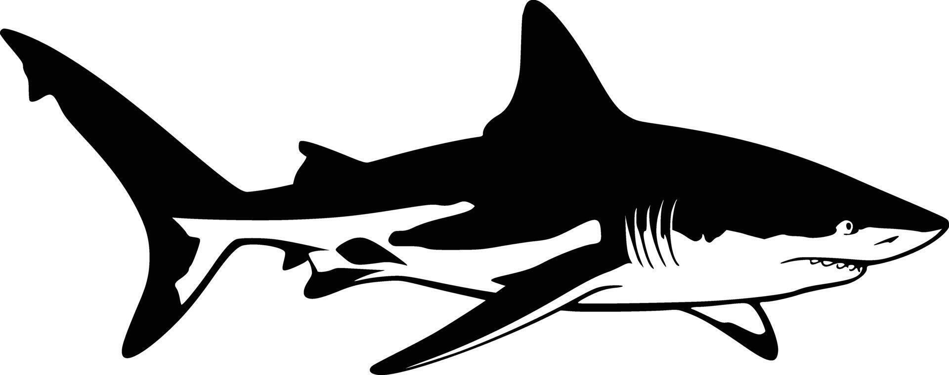 Great white shark clip art white isolated background vector