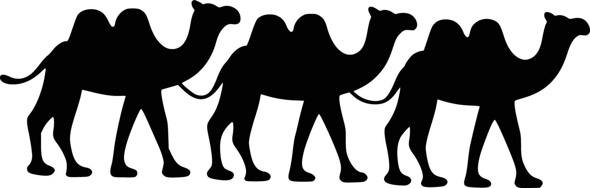 Camels clip art free download white isolated background vector