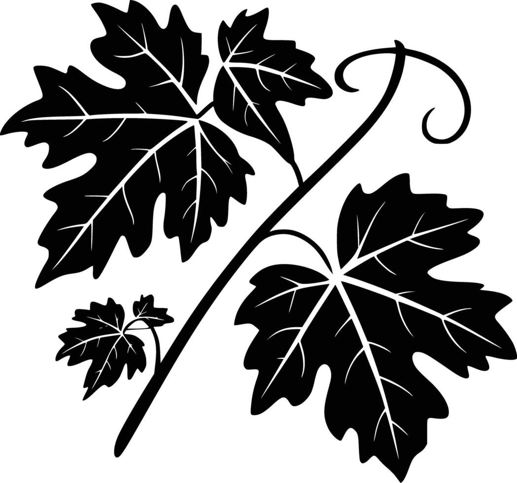 Grape vine clip art vector