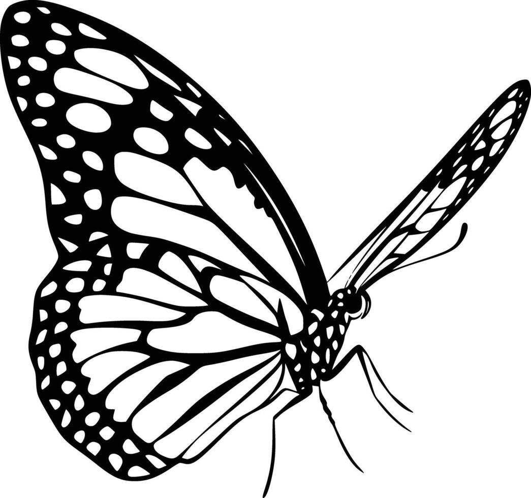 Butterfly coloring pages free printable vector