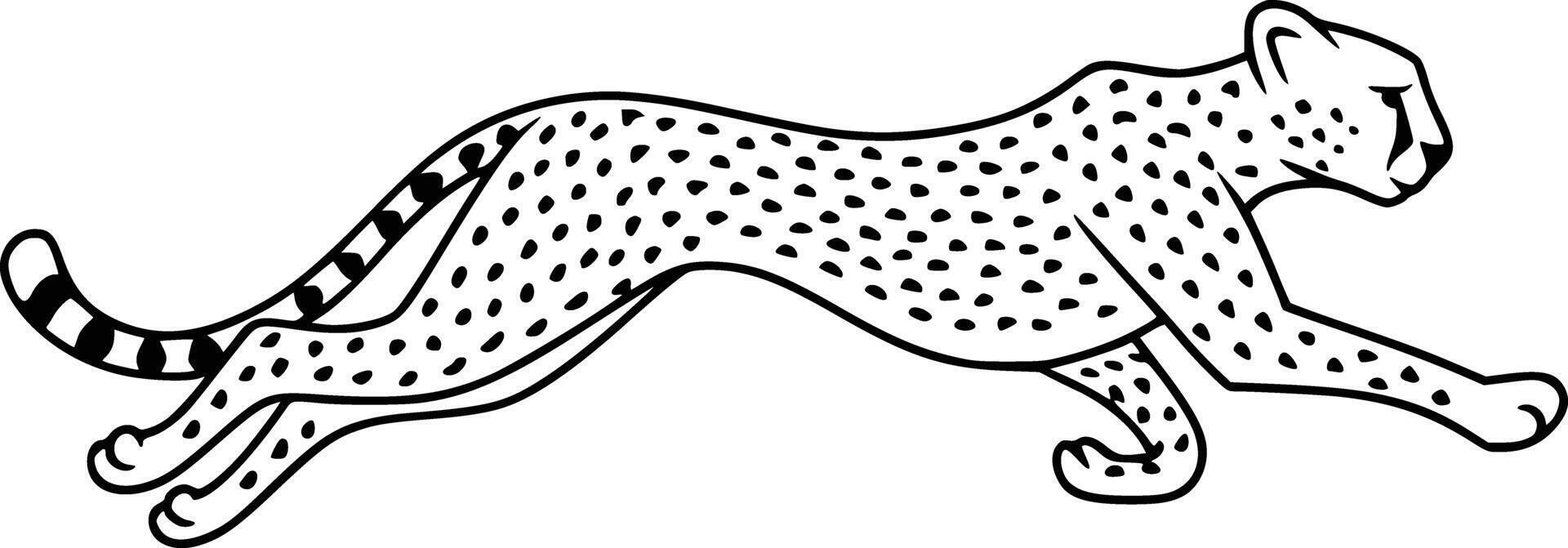 Cheetah running clip art white isolated background vector