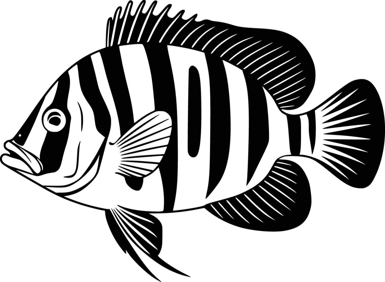 Black and white striped fish clip art vector