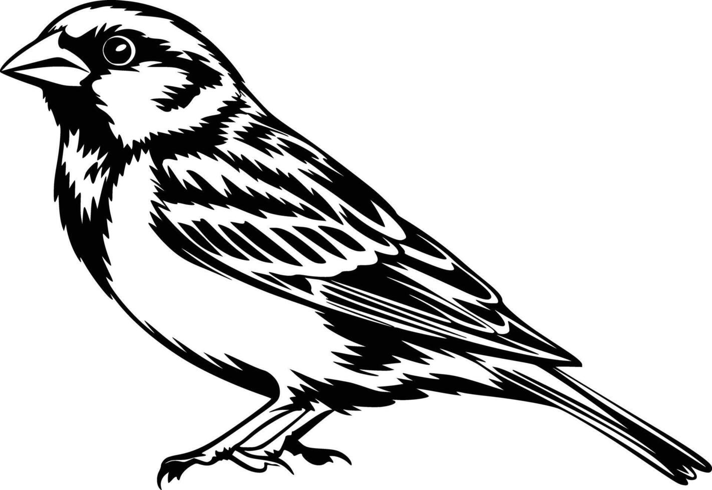 Black and white bird clip art vector