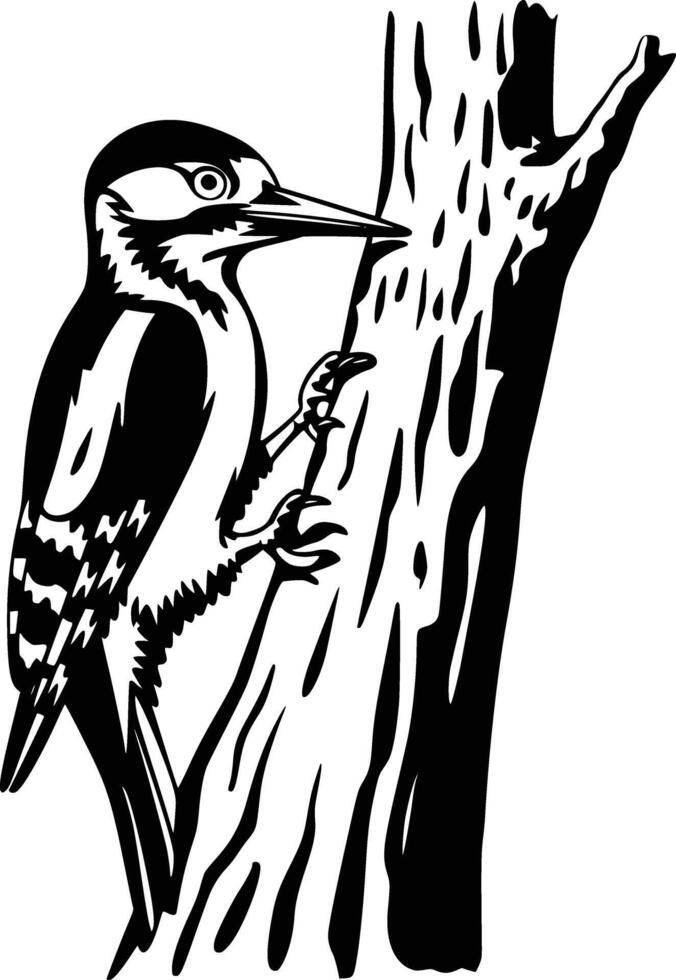Woodpecker on tree branch clipart vector