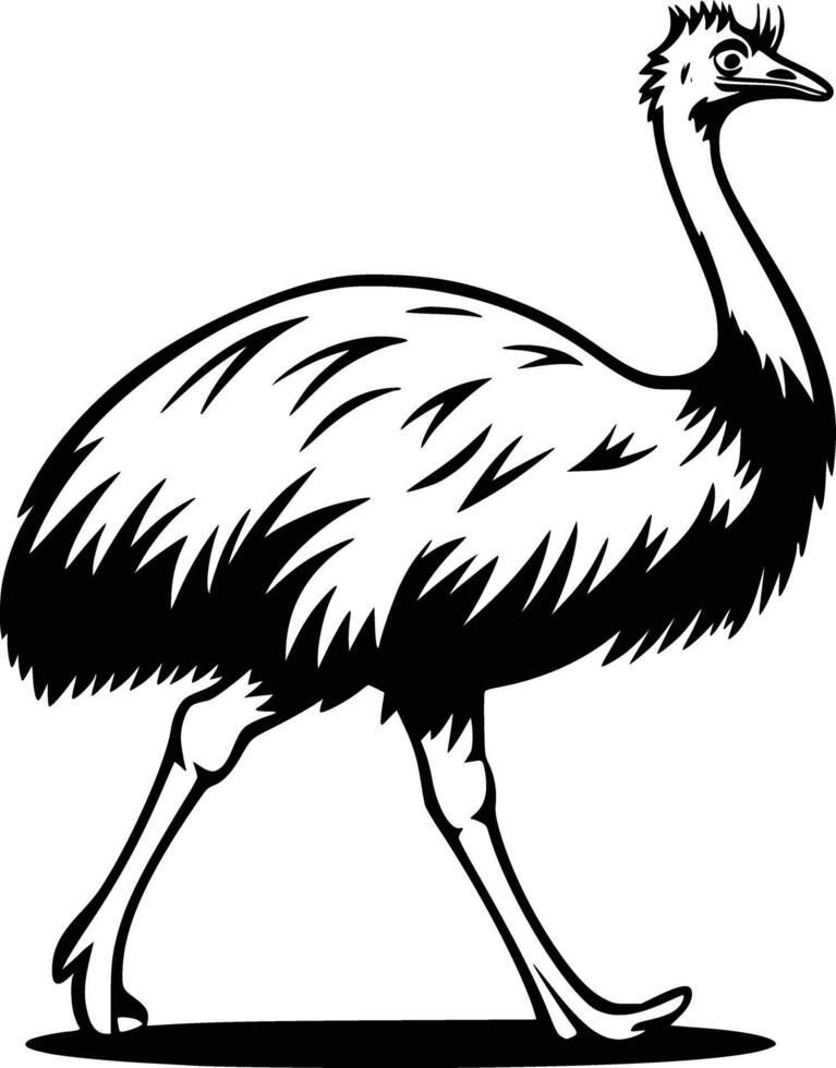 Emu black and white vector