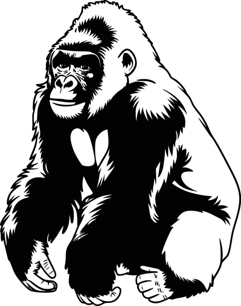 Gorilla clipart white isolated background vector