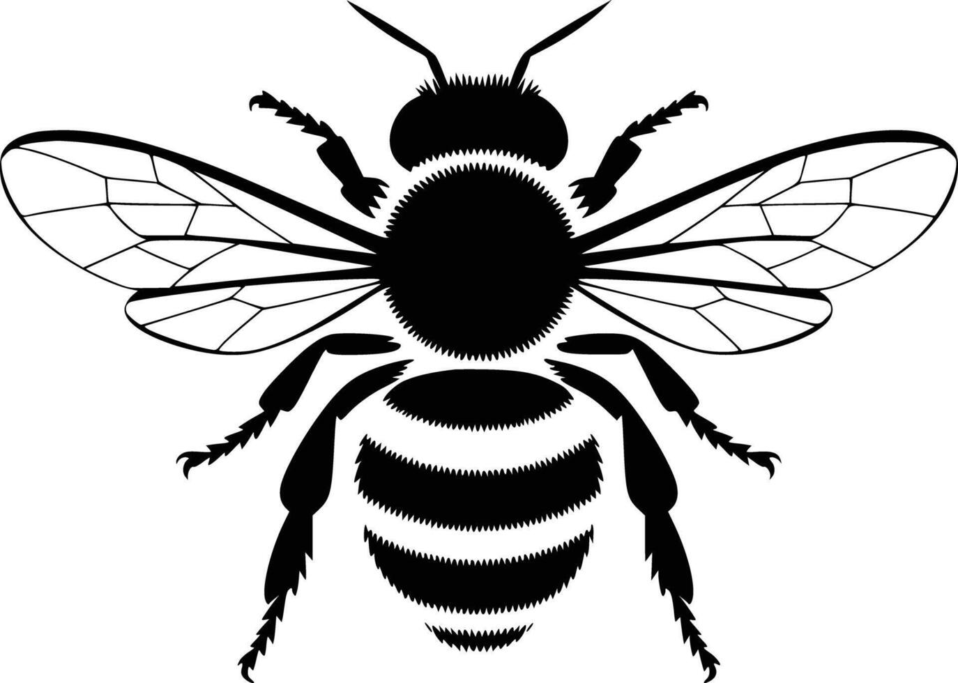 A black and white silhouette of a bee vector