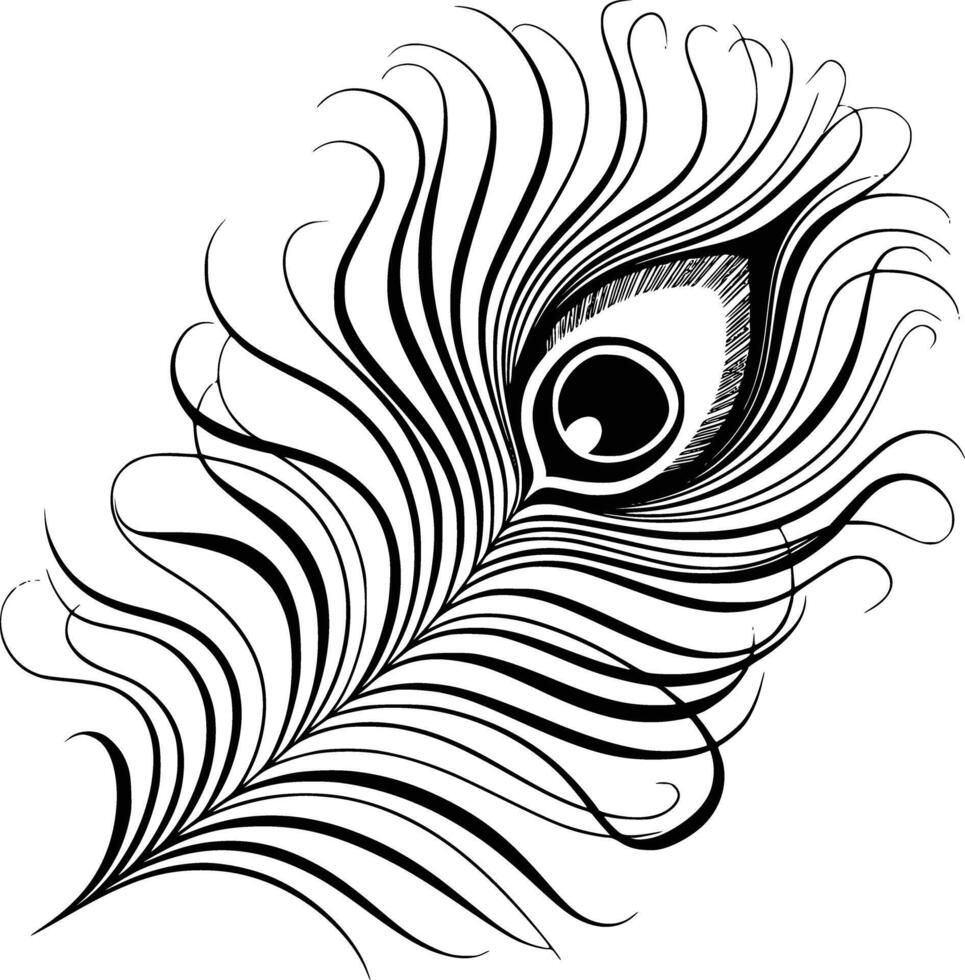 A black and white peacock feather with a long tail vector