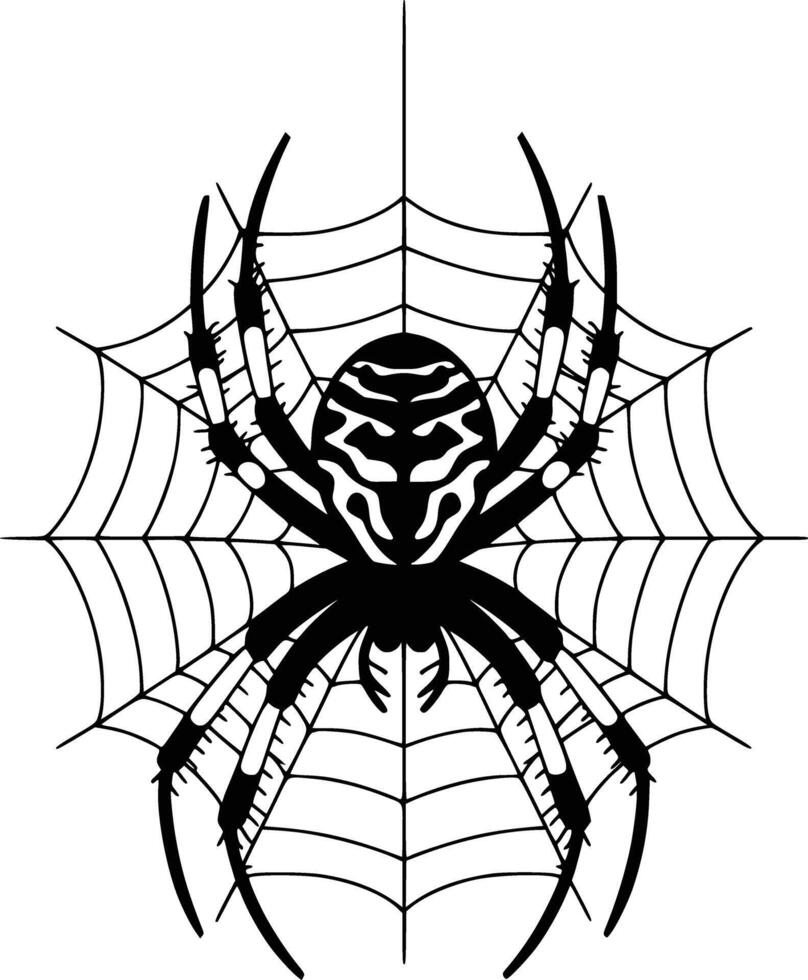 Spider on web vector