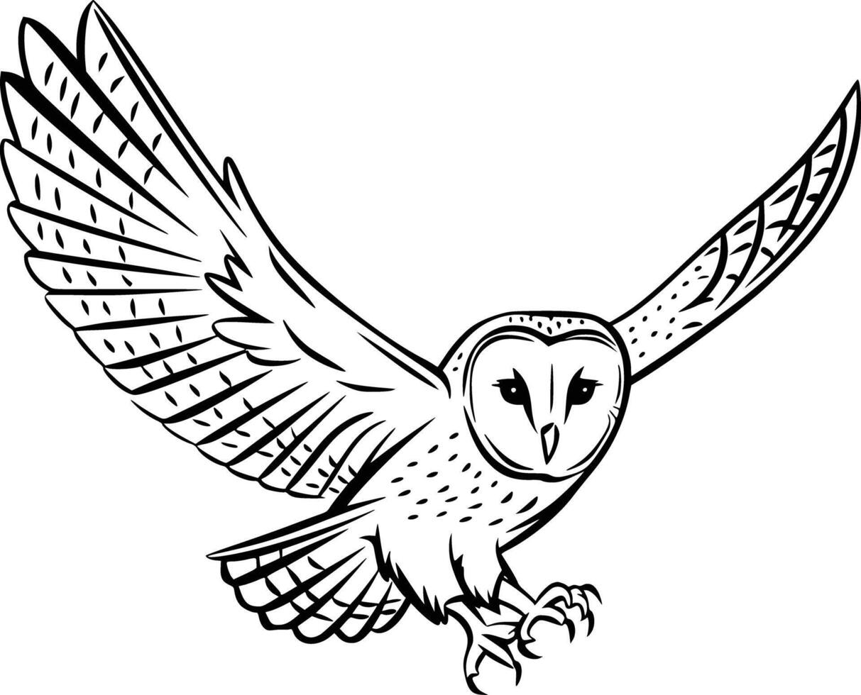 Barn owl coloring pages free printable vector