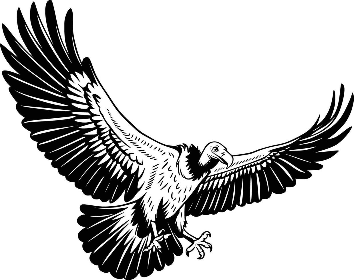 Vulture flying black and white vector