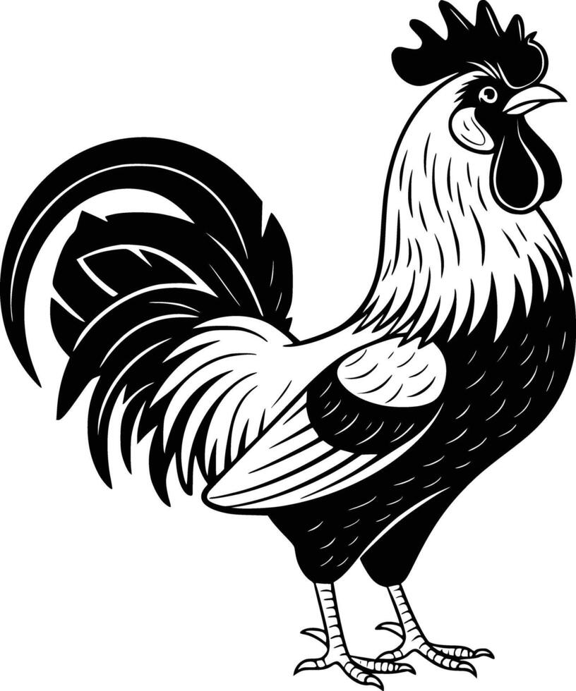 Rooster black and white vector