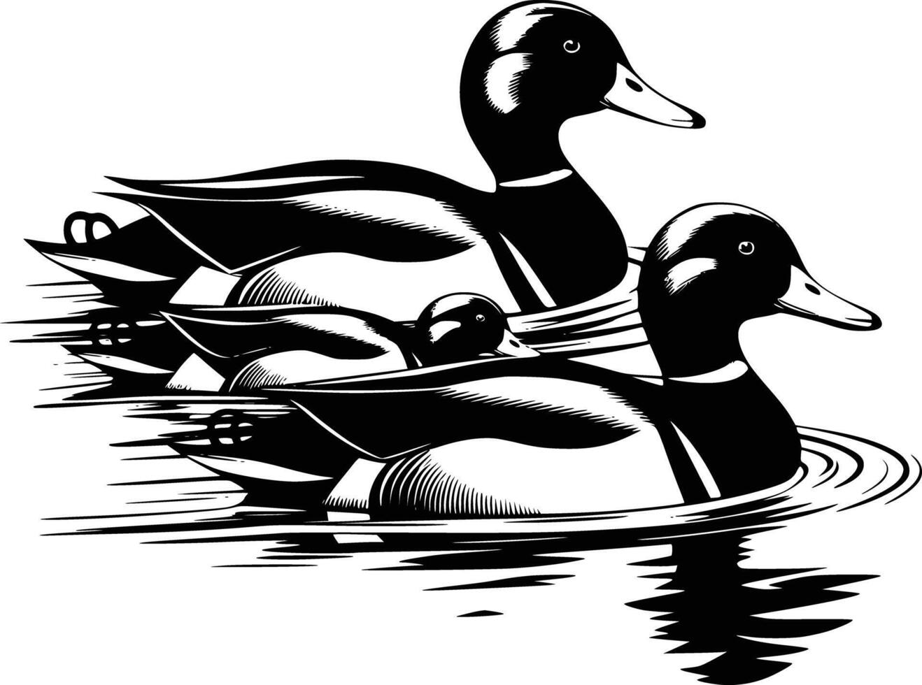 Ducks swimming in the water with their heads down vector