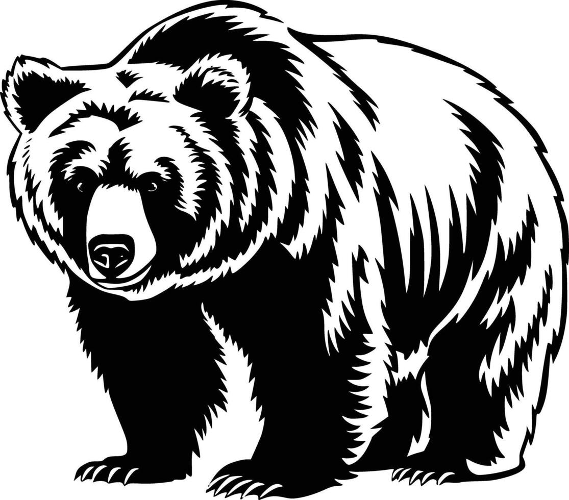 A black and white bear on a white background white isolated background vector