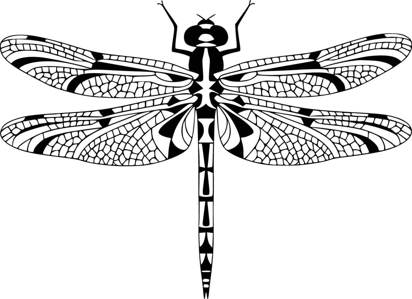 Dragonfly coloring pages white isolated background vector