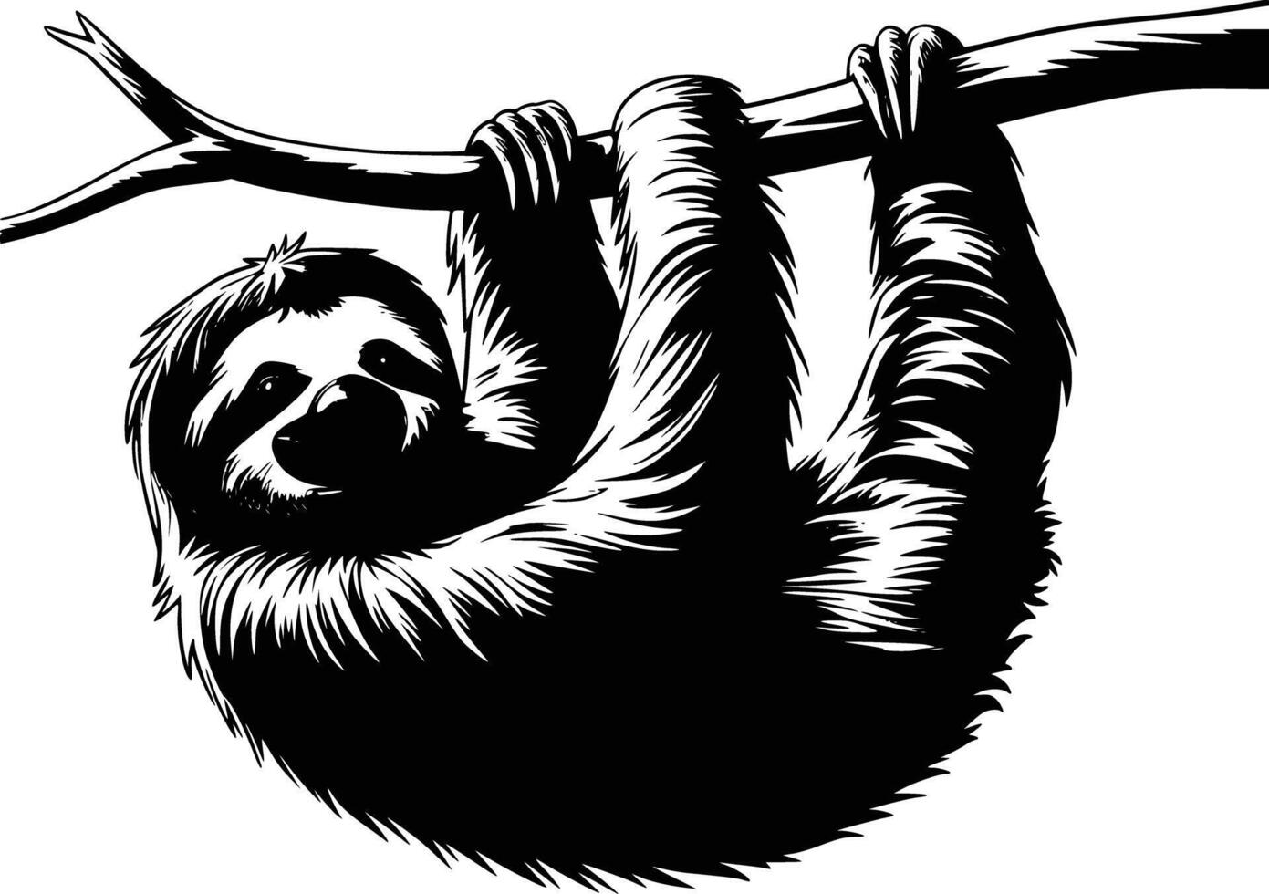 Sloth hanging on a tree branch vector