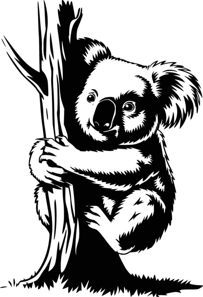 Koala bear on a tree trunk vector