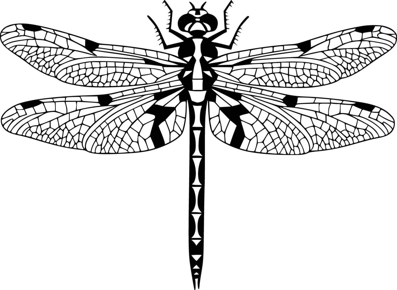 Dragonfly coloring pages free printable vector
