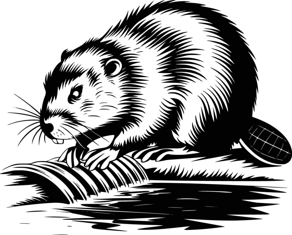 A black and white drawing of a beaver vector