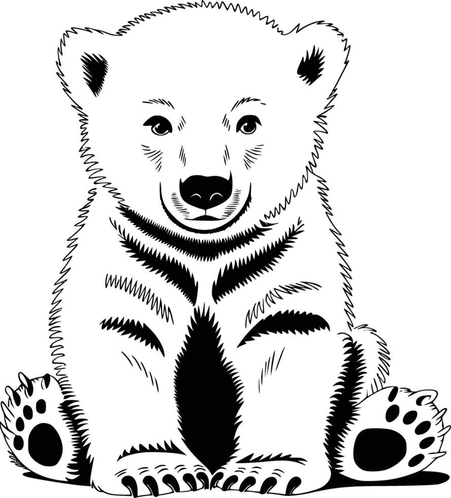 Polar bear coloring pages free printable vector