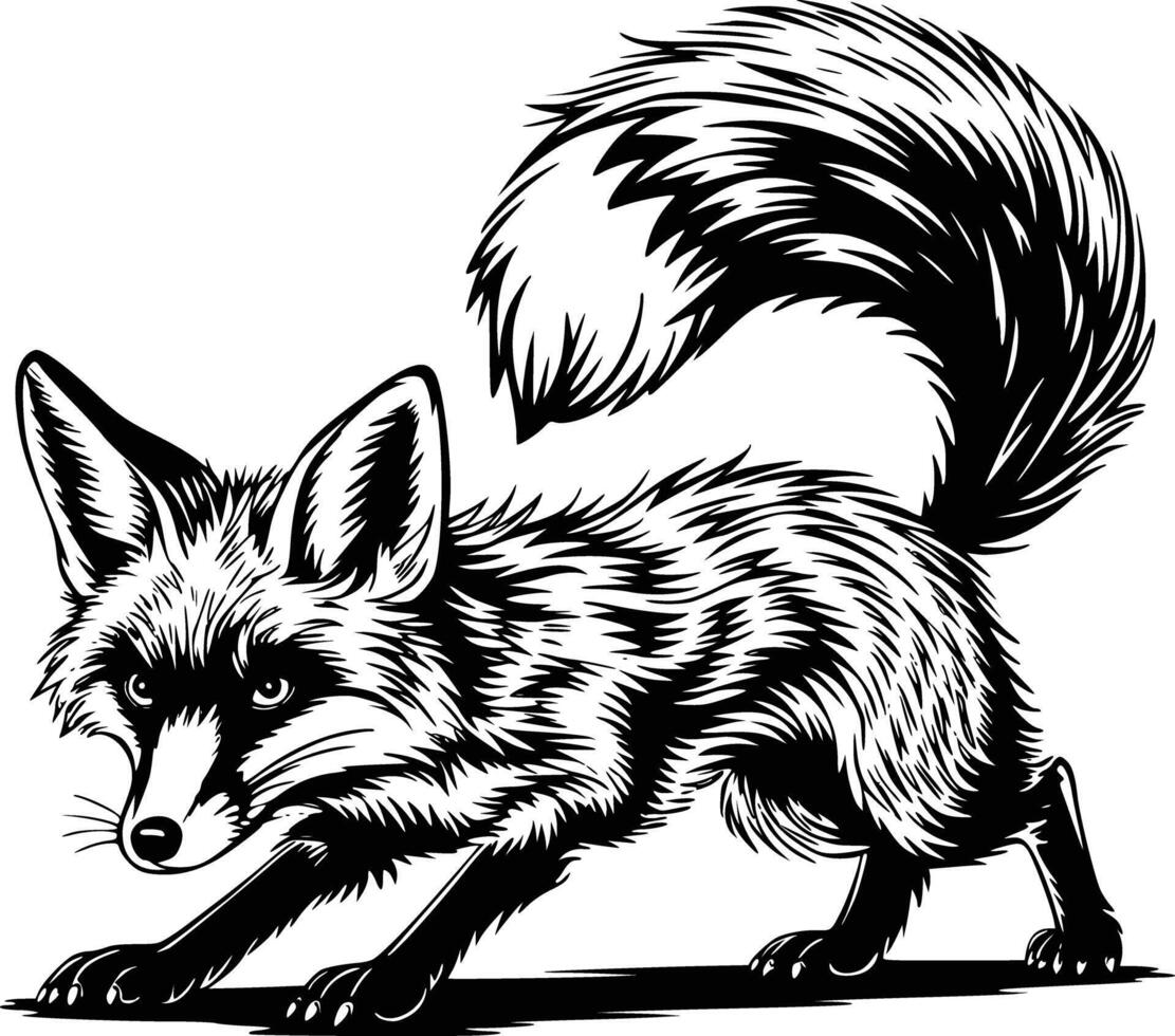 Fox art white isolated background vector