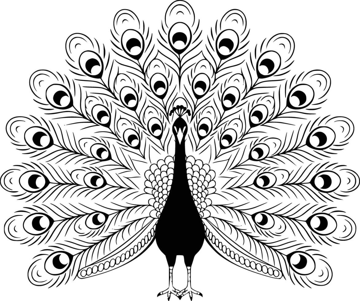 A peacock is standing in the center of the page vector