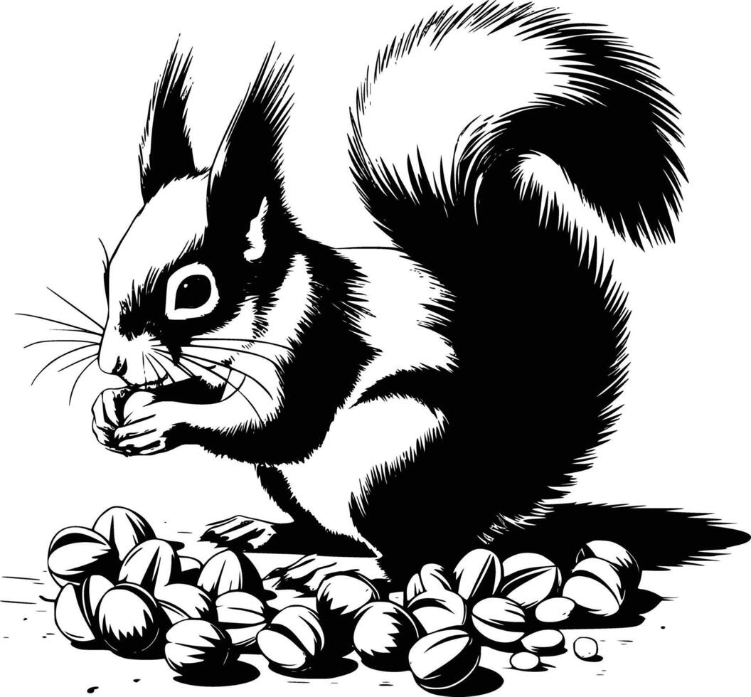 Squirrel eating nuts vector