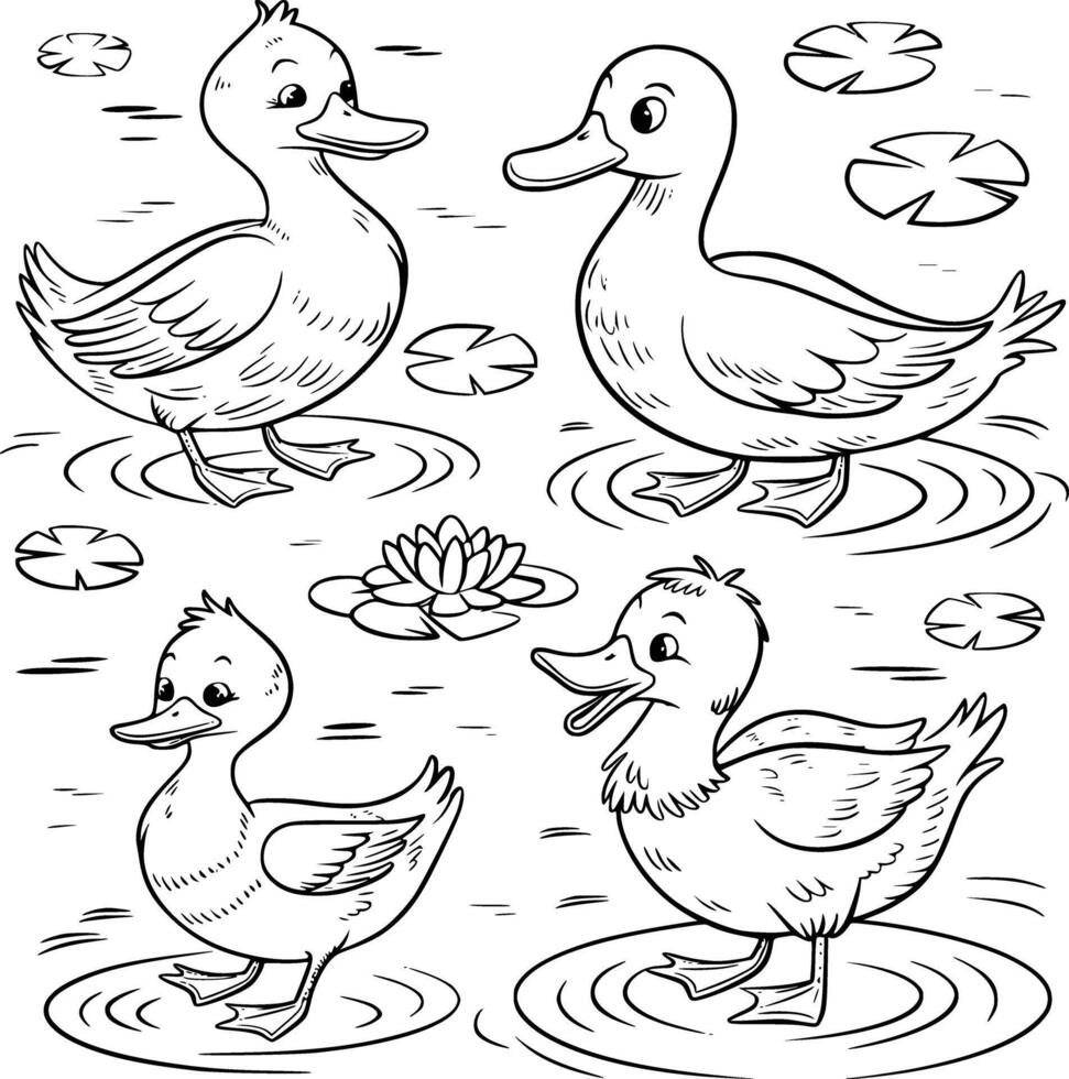 Four ducks in the pond coloring page vector