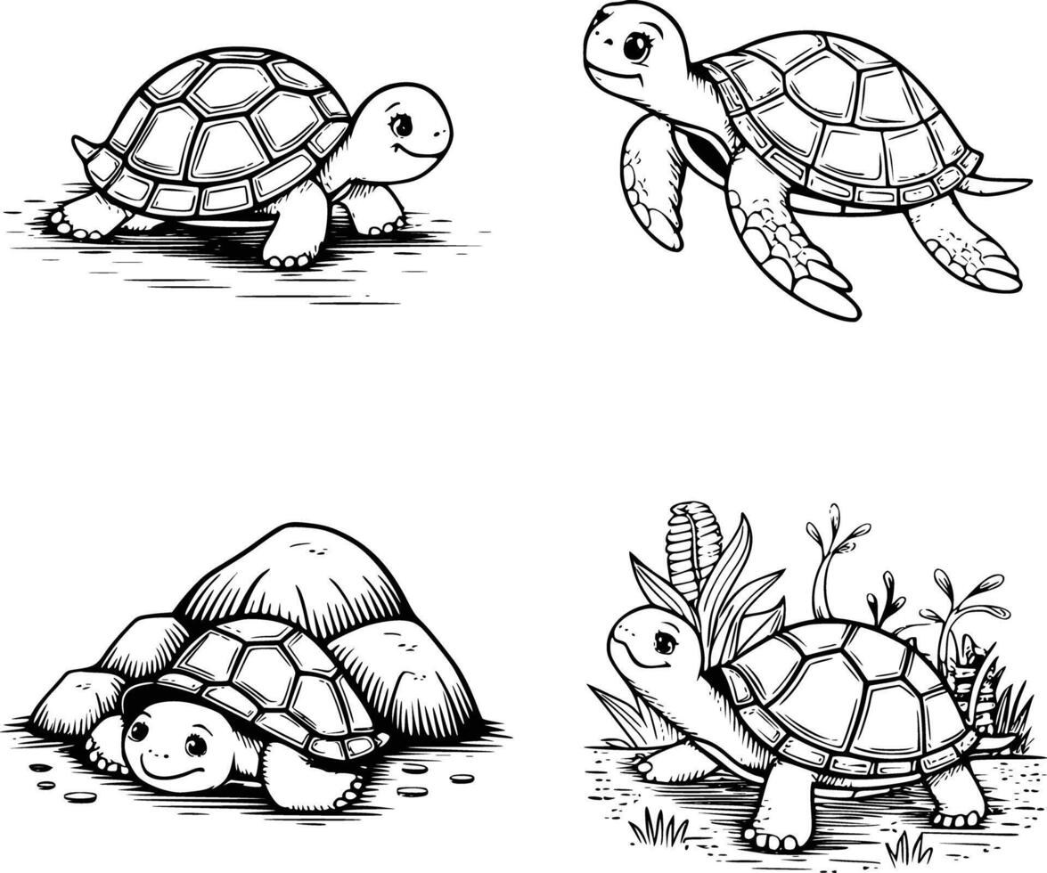 Four turtle illustrations white isolated background vector