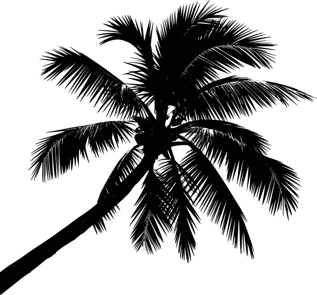 Palm tree silhouette white isolated background vector