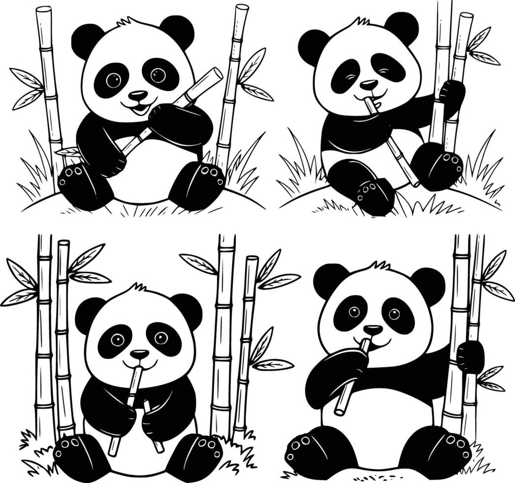 Four panda bears sitting on bamboo and eating vector