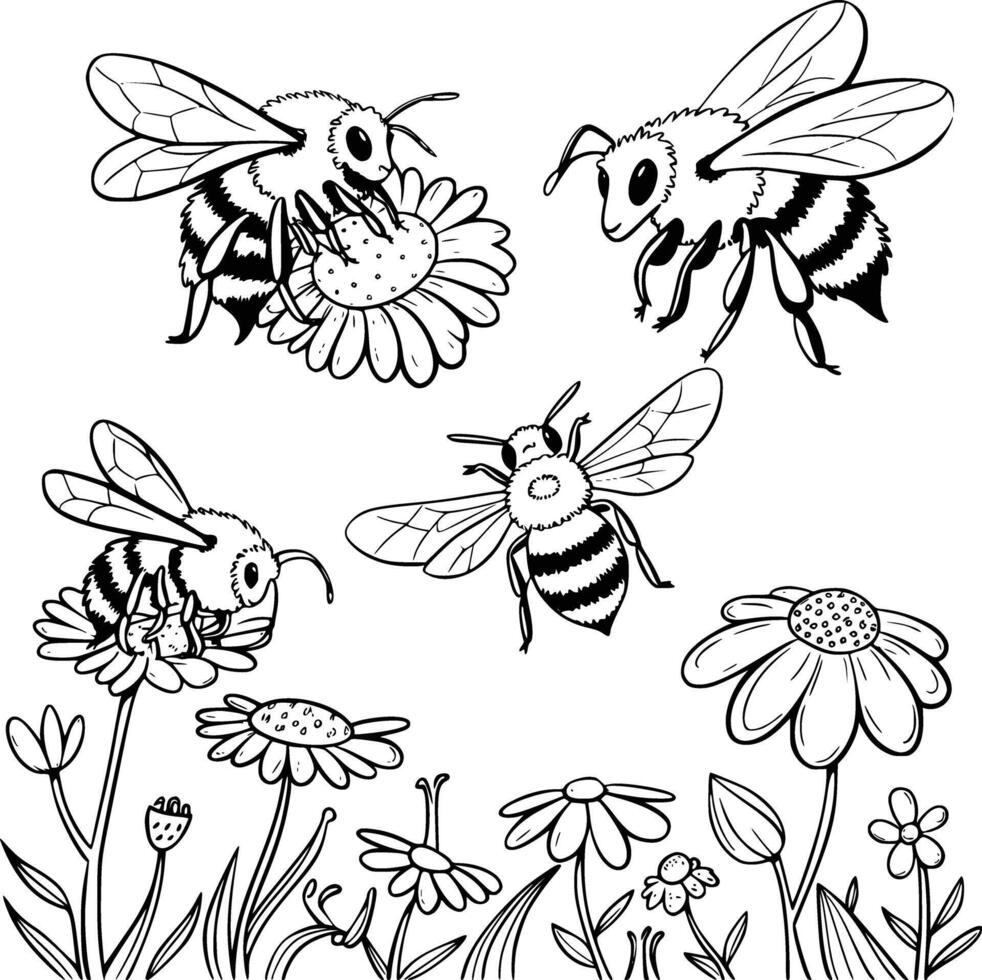 Coloring pages with bees and flowers vector