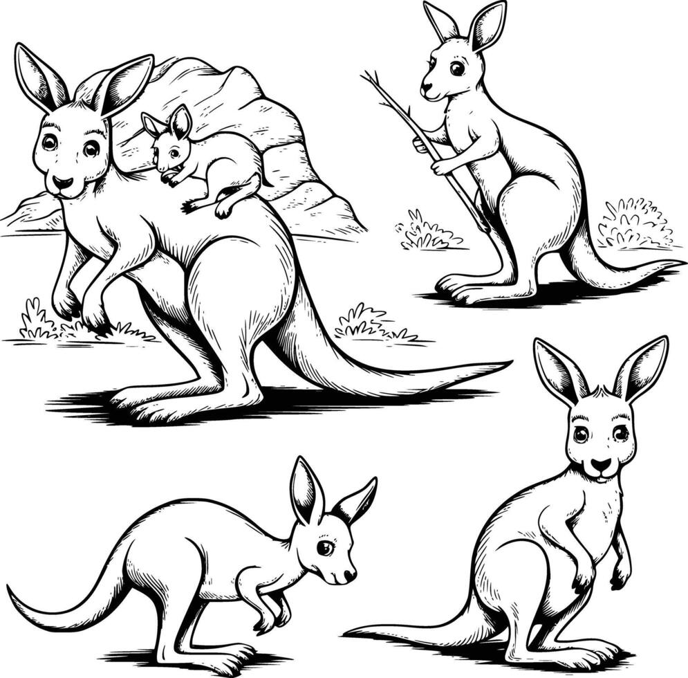 Kangaroo with baby and mother vector