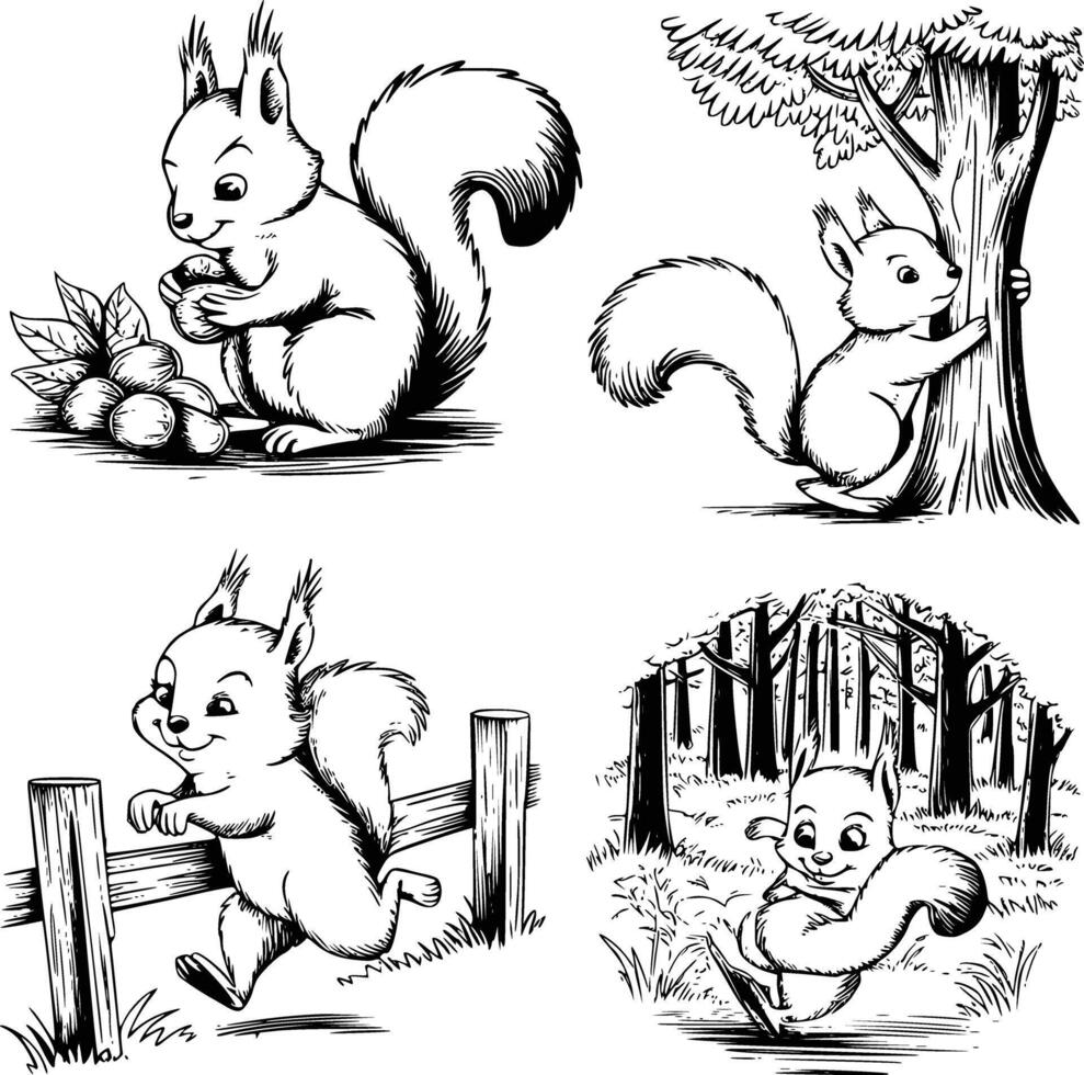 Four black and white squirrels in the forest vector