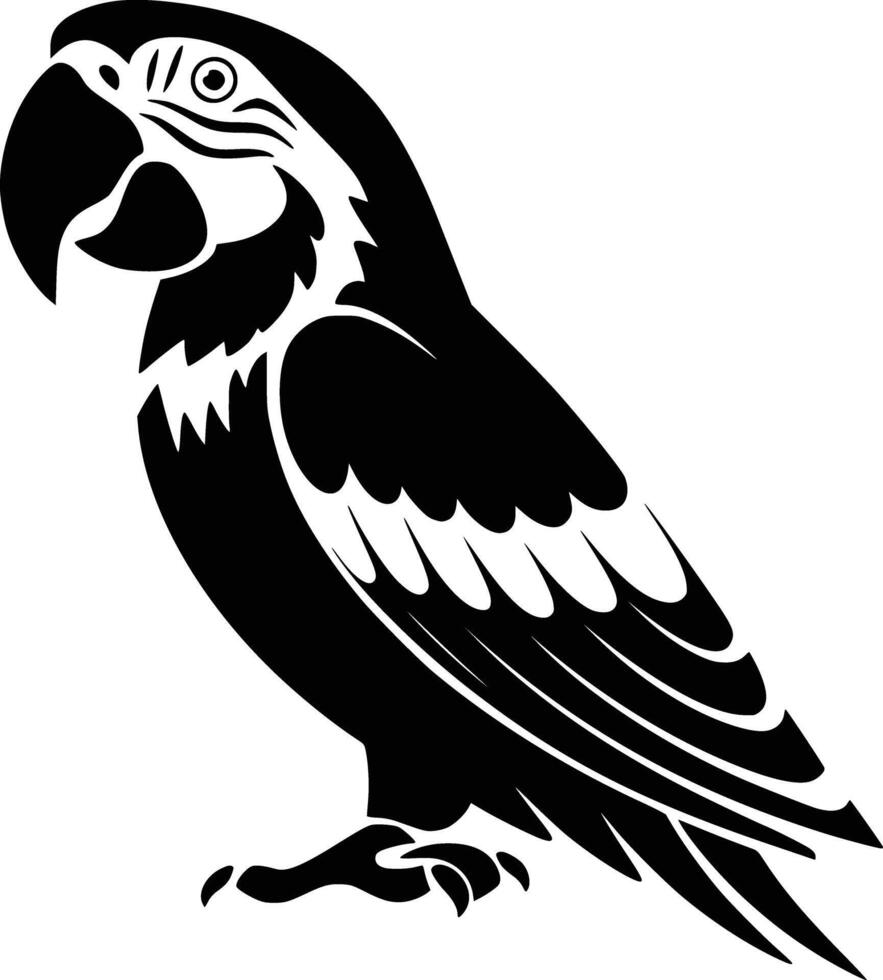 A parrot with a black and white design vector