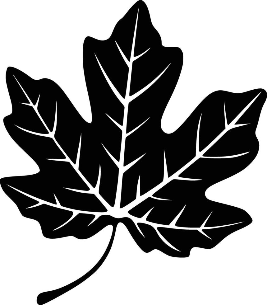 A black and white maple leaf silhouette vector