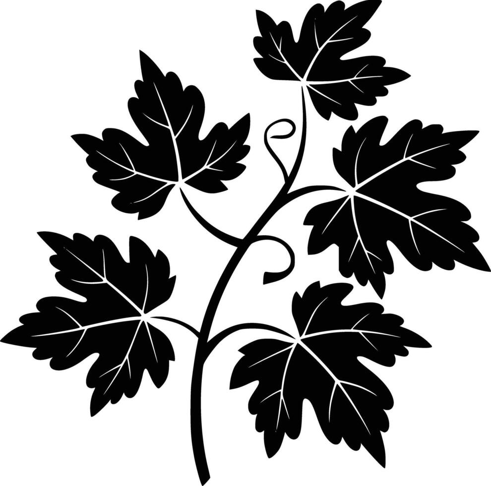 Black and white vine with leaves vector