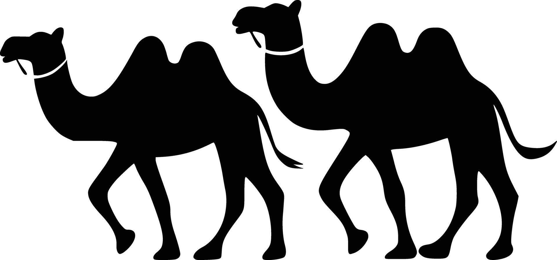 Two camels are silhouetted against a white background vector