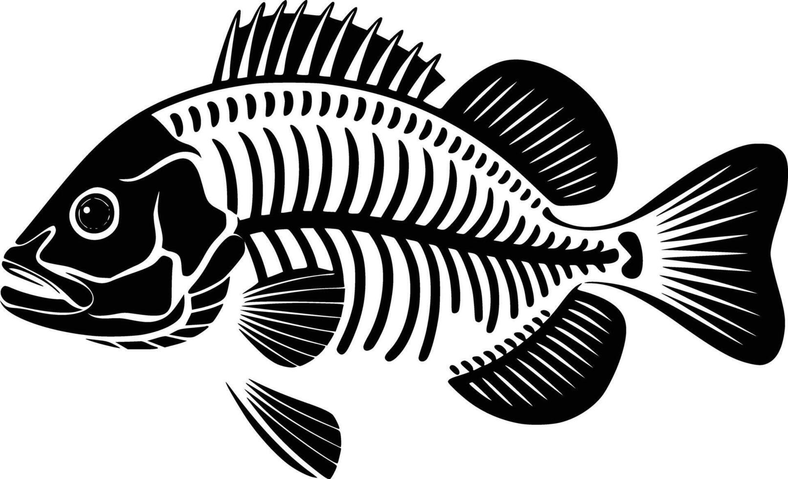 A fish skeleton is shown in black and white vector