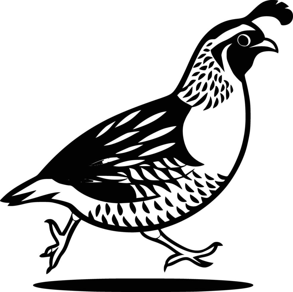 A black and white quail silhouette on a white background vector