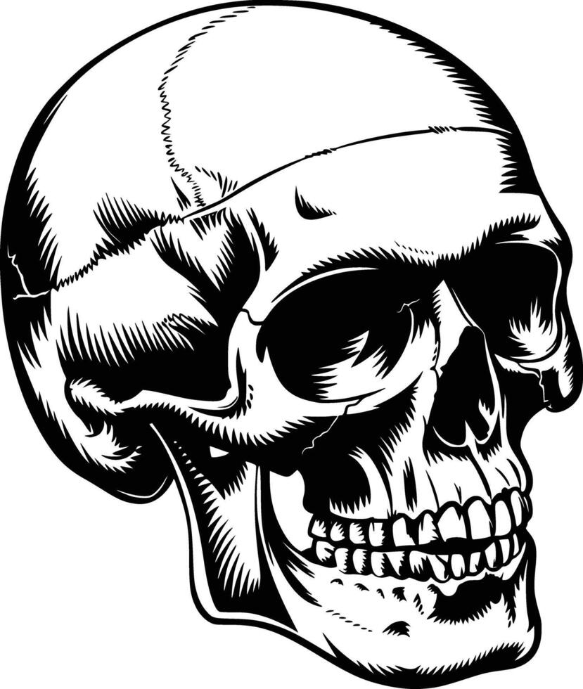 A skull with a bandana on it and isolated background vector