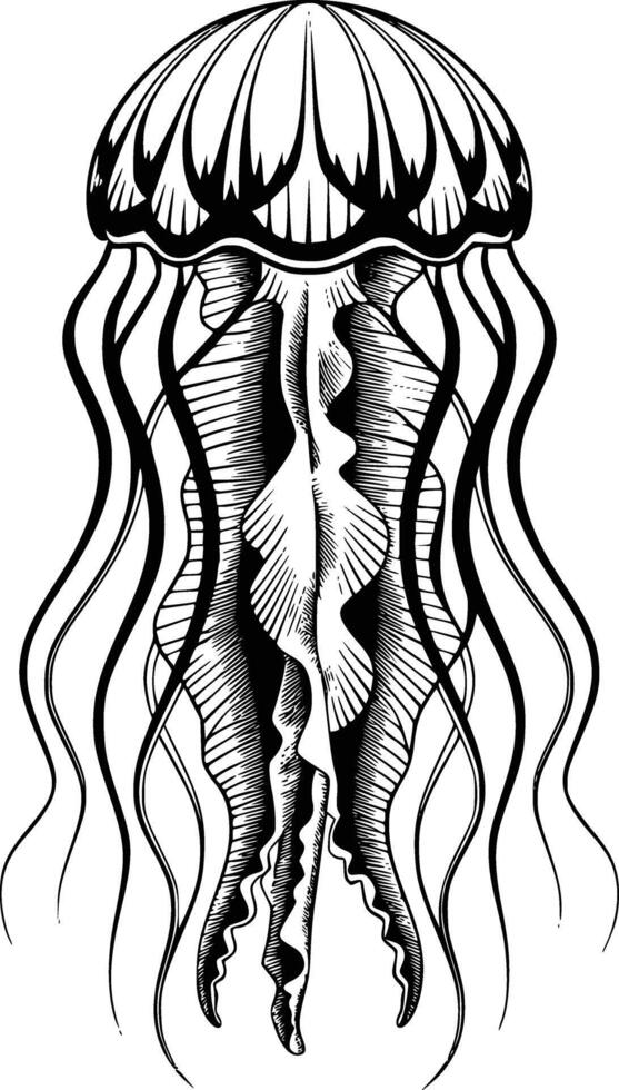 Jellyfish tattoo design and isolated background vector