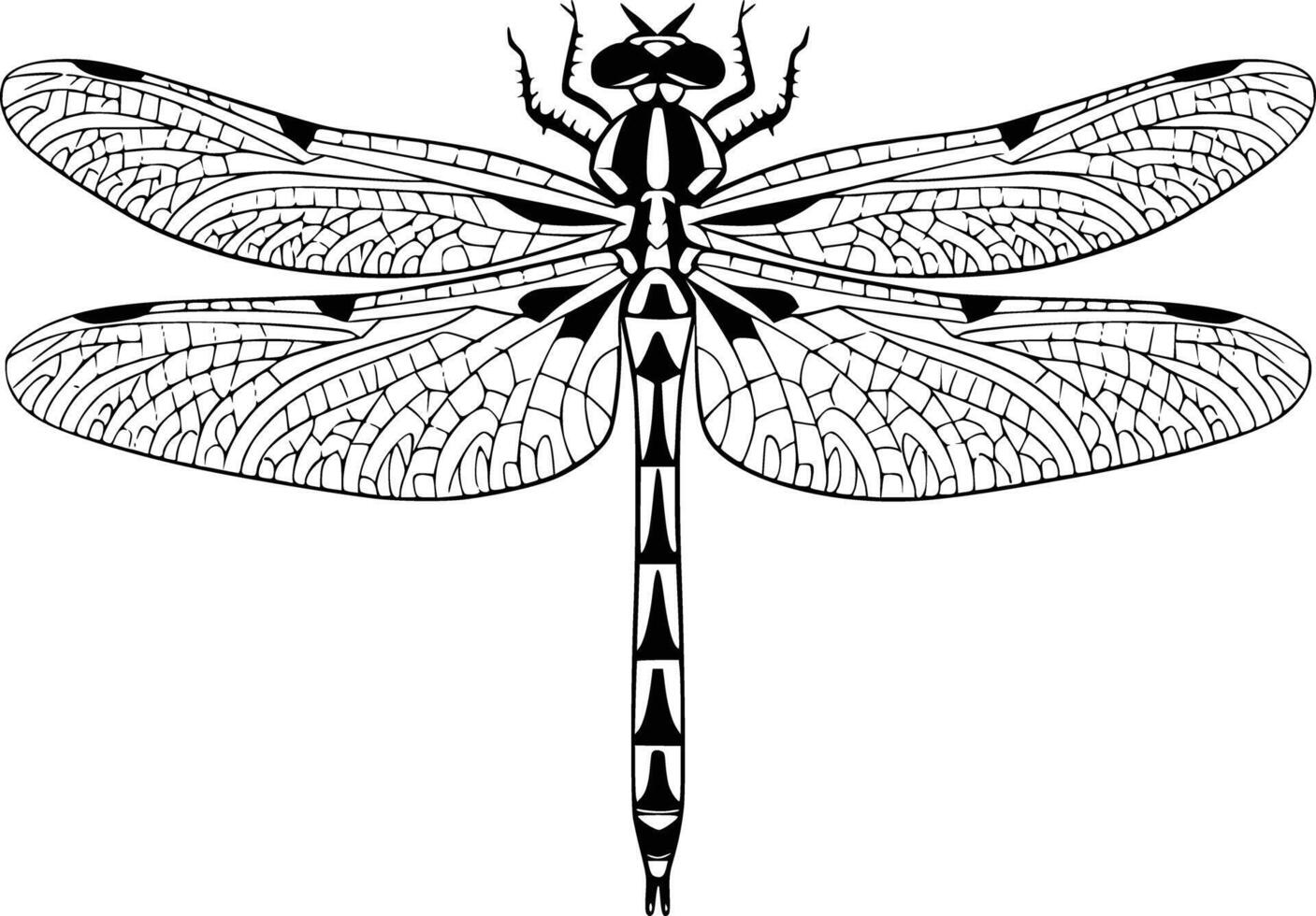 Dragonfly coloring pages printable coloring pages vector